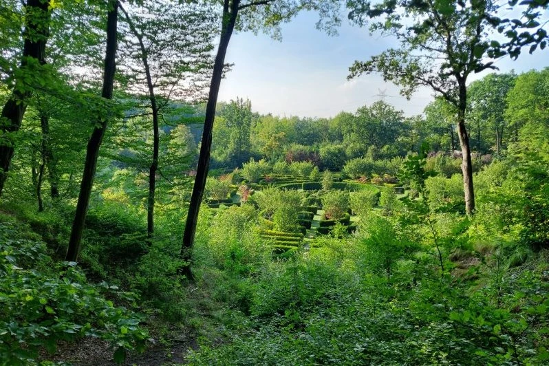 Racibórz gościł przedstawicieli Sieci Miast Zielonych